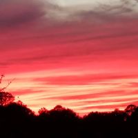 Hot Rod Hill RV Park ico