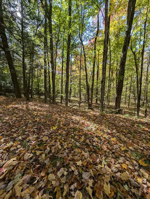 Council Grounds State Park Group Campground Picture 7