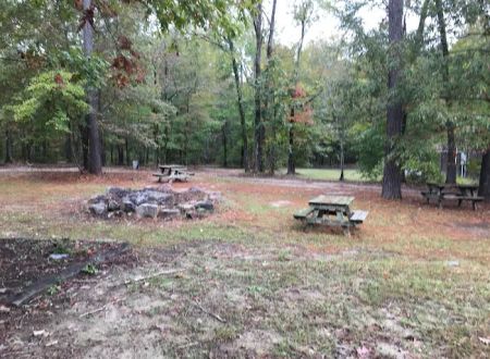 Bar Fifty RV Park & Horse Camp