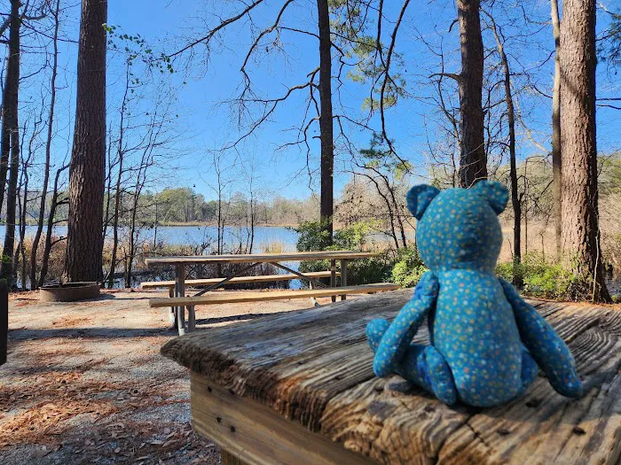 Hardridge Creek Picture 8
