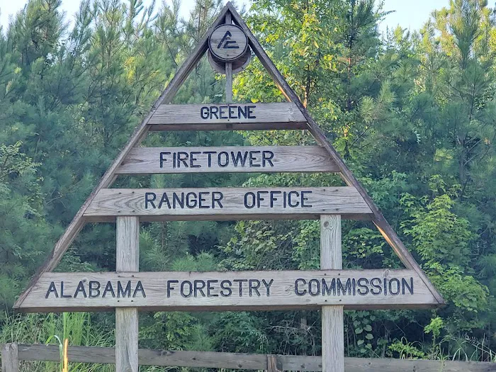Forestry Commission Picture 1