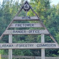 Forestry Commission ico