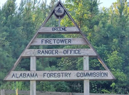 Forestry Commission