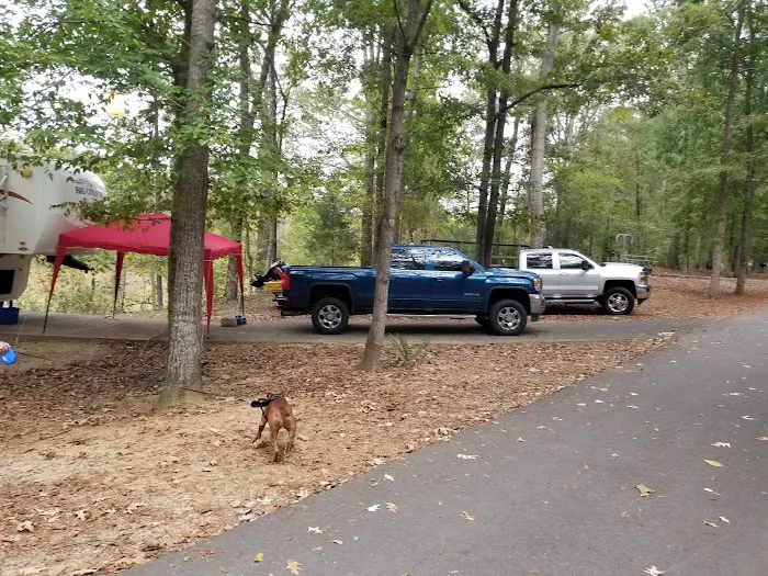 Forkland Campground Picture 1