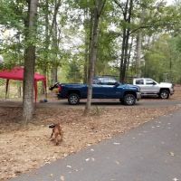 Forkland Campground ico