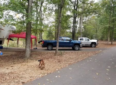 Forkland Campground