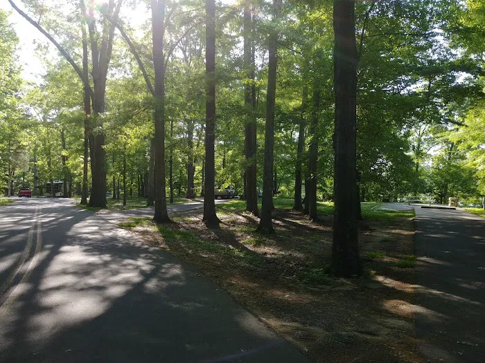 Forkland Campground Picture 5