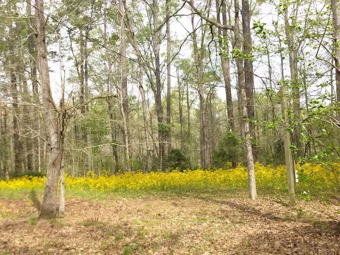 Forkland Campground Picture 7