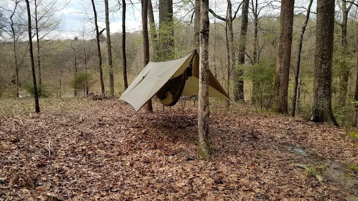 Forkland Campground Picture 8