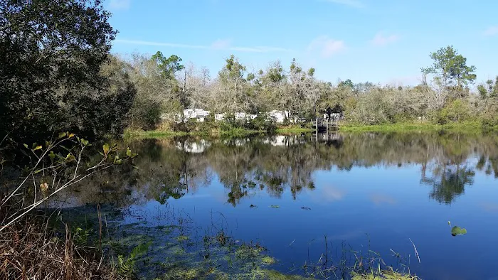 Gator Creek Campground Picture 7