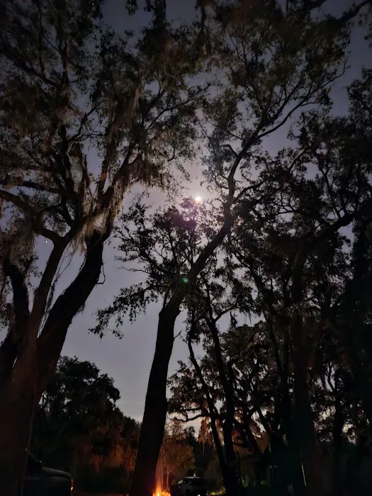 Myrtle Oaks Campground Picture 2