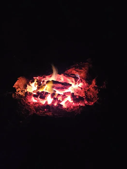 Myrtle Oaks Campground Picture 1