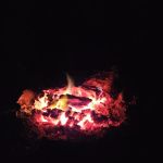 Myrtle Oaks Campground