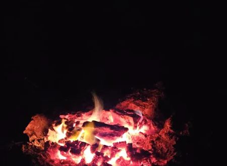 Myrtle Oaks Campground