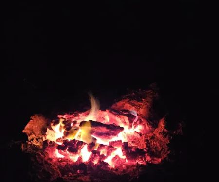 Myrtle Oaks Campground