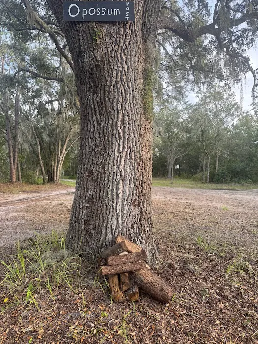Myrtle Oaks Campground Picture 3