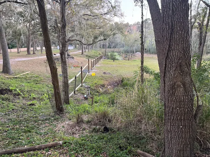 Myrtle Oaks Campground Picture 7