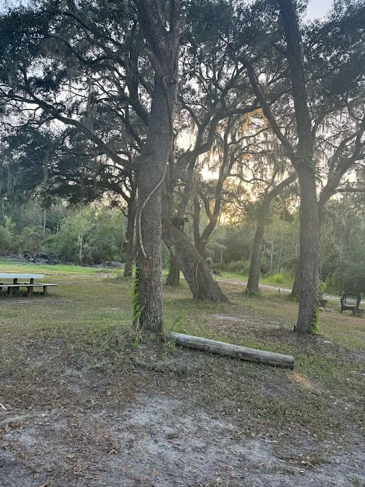 Myrtle Oaks Campground Picture 4