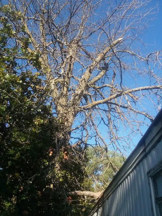 Hilltop Mobile Home Park Picture 1