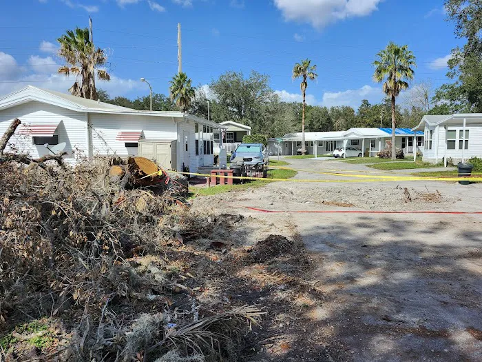 Forest Lake Village Picture 2