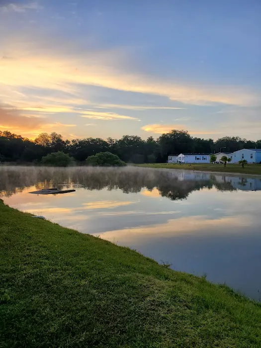 Forest Lake Village Picture 4