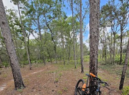 Back Country Campsite #3