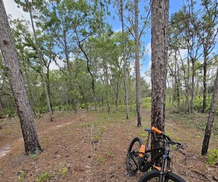 Back Country Campsite #3