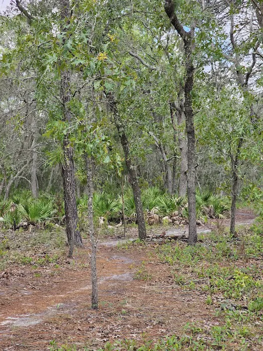 Back Country Campsite #3 Picture 4