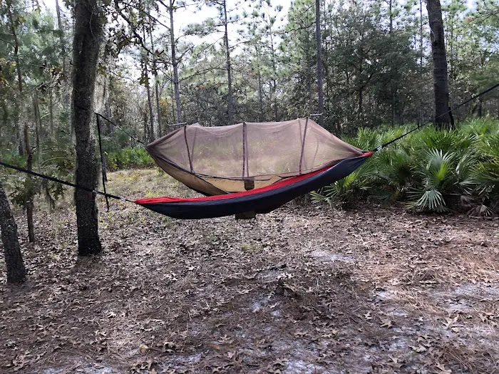 Back Country Campsite #3 Picture 6