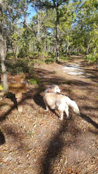 Back Country Campsite #3 Picture 8