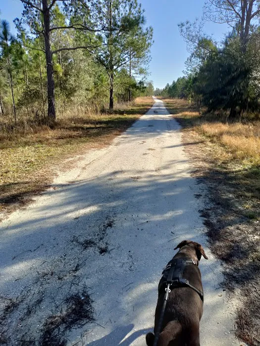 Cypress Creek Preserve Picture 1