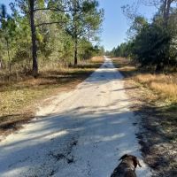 Cypress Creek Preserve ico