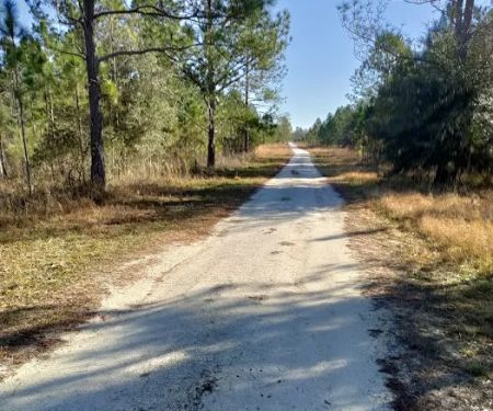 Cypress Creek Preserve