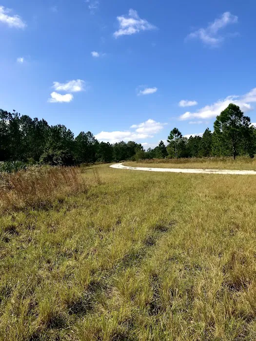 Cypress Creek Preserve Picture 3