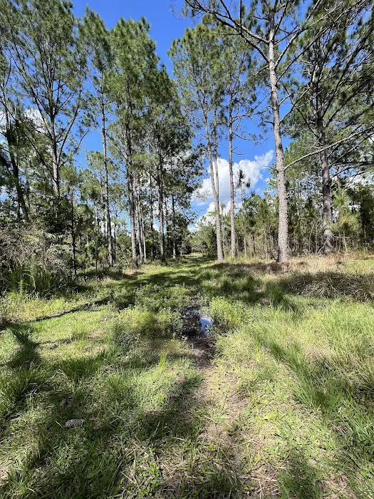 Cypress Creek Preserve Picture 6
