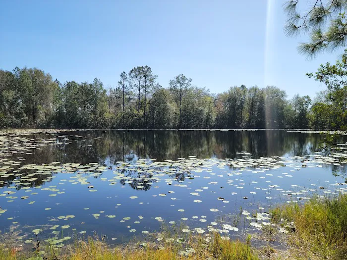 Cypress Creek Preserve Picture 10