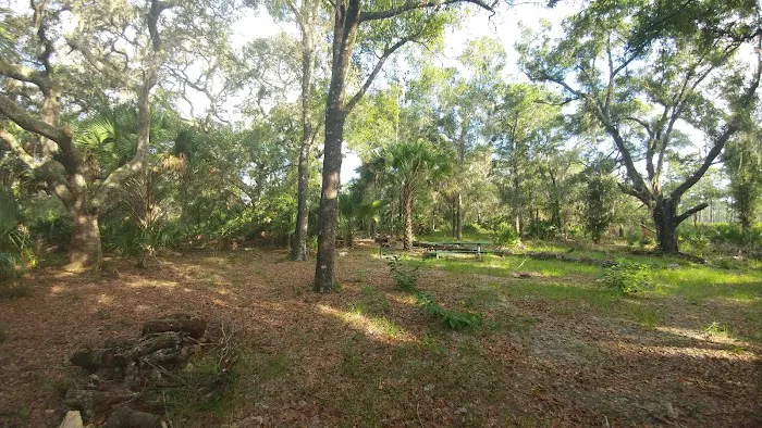 Back Country Campsite #1 Picture 5