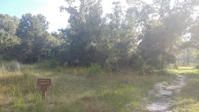 Back Country Campsite #1 Picture 6
