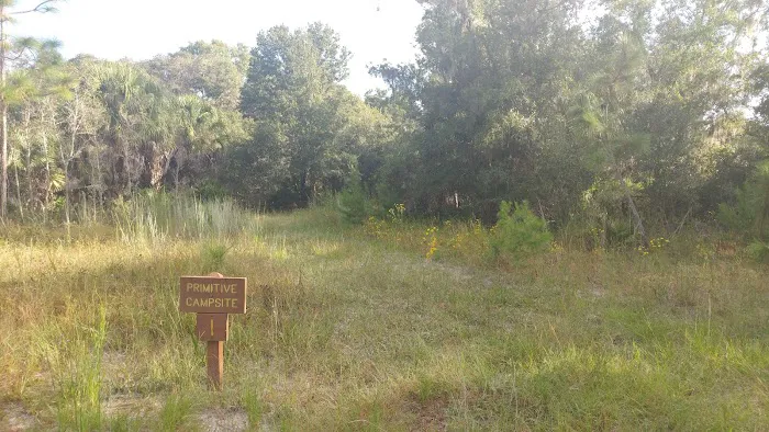 Back Country Campsite #1 Picture 4