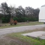 Bell Creek RV Park