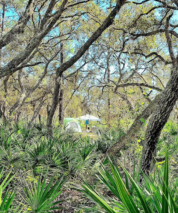 Campground Starkey Picture 4