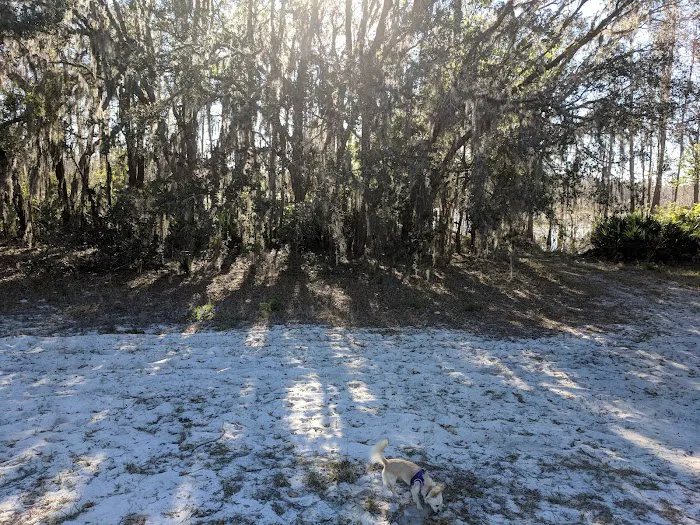 Campground Starkey Picture 8