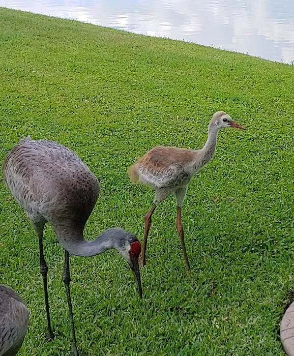 Campground Starkey Picture 10