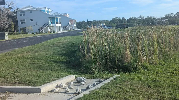 Green Key rd Picture 3