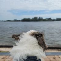 Hickory Point ico