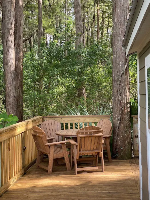 Clearwater / Lake Tarpon KOA Holiday Picture 10