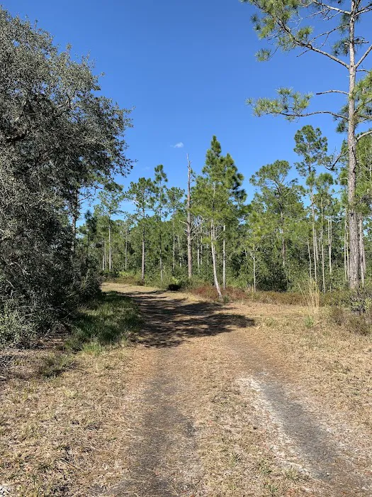 Huckleberry Island Campsite Picture 1