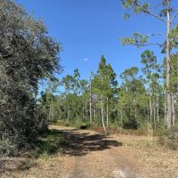 Huckleberry Island Campsite ico