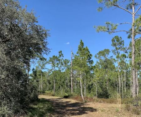 Huckleberry Island Campsite