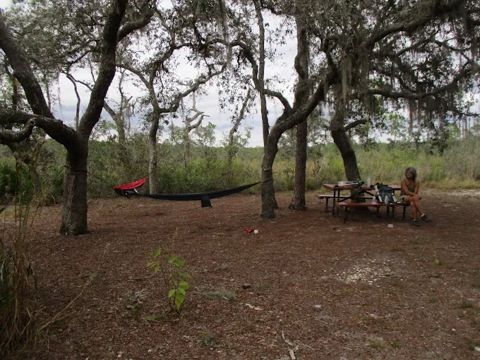 Huckleberry Island Campsite Picture 6